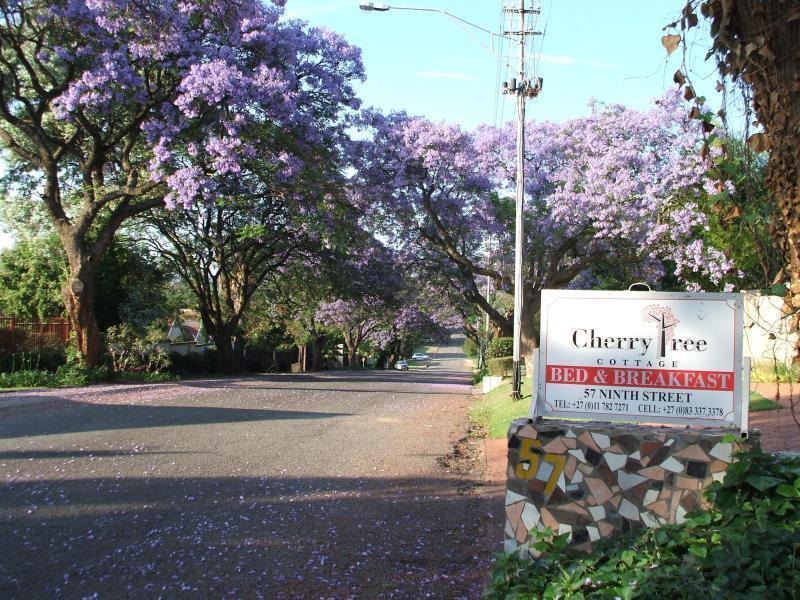 Cherry Tree Cottage B&B Linden Johannesburgo Exterior foto