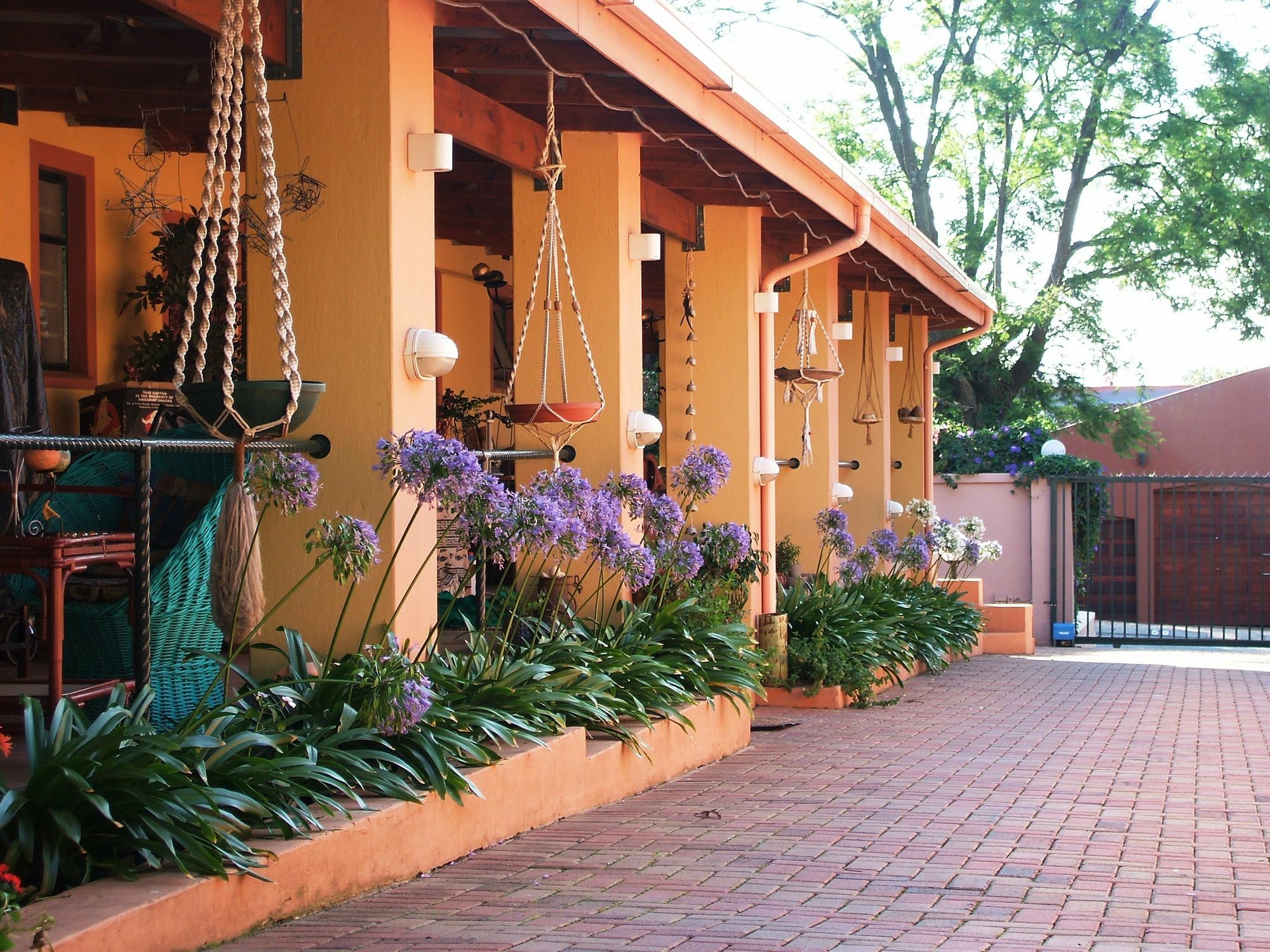 Cherry Tree Cottage B&B Linden Johannesburgo Exterior foto
